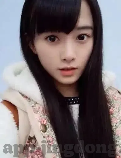 大象视频app官方下载-探索大象视频APP，一站式娱乐新体验的官方下载指南