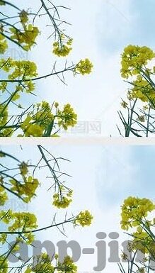 jiuse人妻-探索jiuse人妻现象，理解、反思与界限