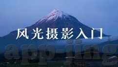 麻豆传煤之国产app-麻豆传煤及其国产APP，在专注与创新中绽放