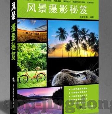 麻豆传媒最新网址-探寻新媒体的魅力，麻豆传媒最新渠道的探索与体验