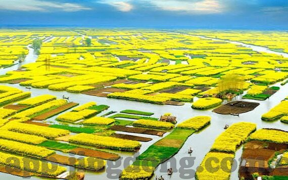 麻豆国产av超爽剧情系列-寻找心灵娱乐的秘密——揭示麻豆国产AV超爽剧情系列