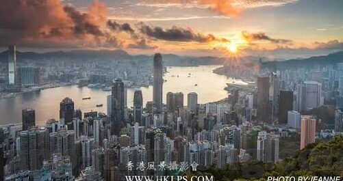 糖心app是不是诈骗-解析糖心app背后的事实，真假谎言的交织