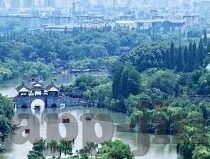 糖心app下载色版-文章，解锁小技巧——如何正确获取糖心app的版本选择指南