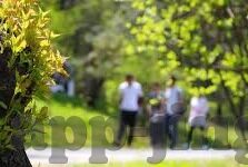 糖心交友app官网-探索糖心交友，一种现代社交平台的真意
