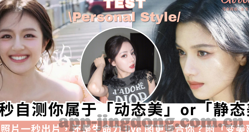 糖心vlog官网首页蜘蛛-糖心Vlog官网的蜘蛛之舞，探秘视频创作与分享的奇幻之旅
