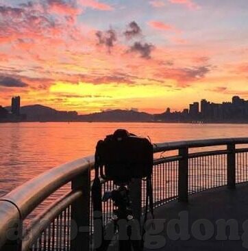 午夜理论麻豆av最新-午夜理论，麻豆AV领域的微妙探索